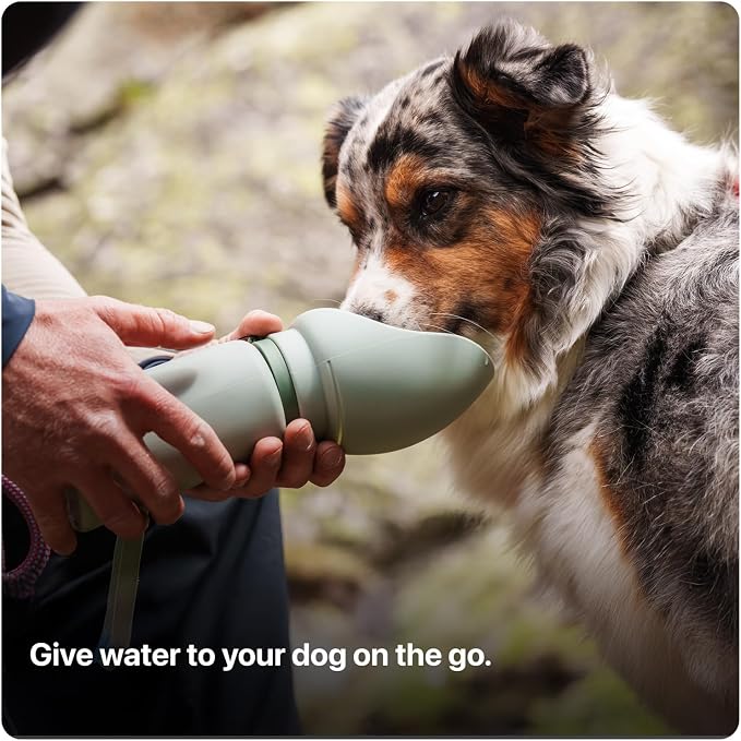 SÄKER Portable Collapsible Dog Water Bottle, 750ml