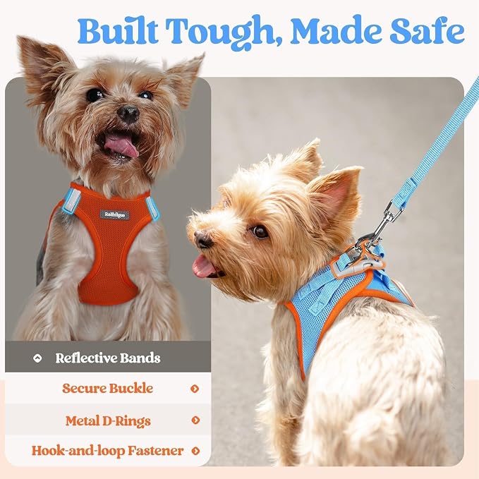 rabbitgoo Dog Harness Small Sized and Leash Set, Step-in Puppy Pet Vest | Light, Soft, Breathable Air Mesh, Easy on and Remove with Hook & Loop, Secure Reflective for Walking, Blue & Orange XXS