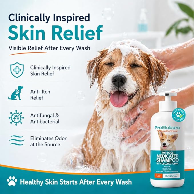 Medicated Dog Shampoo for Allergies and Itching: Antifungal Dog Shampoo, Yeast Infection and Bacterial Treatment for Dogs - Helps Hot Spots, Deodorizing and Anti Itch - Healthy Skin & Coat 16 OZ