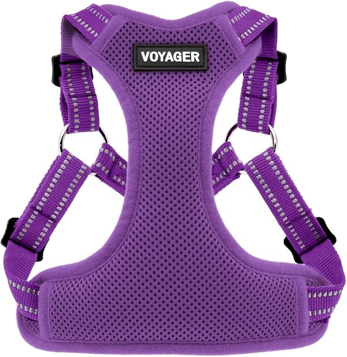 Voyager Step-in Flex Adjustable Dog Harness - Purple, Medium | 17 - 21" in Chest, Fully Adjustable, Reflective Bands, All Weather Breathable Air Mesh, Lightweight, Fast Drying