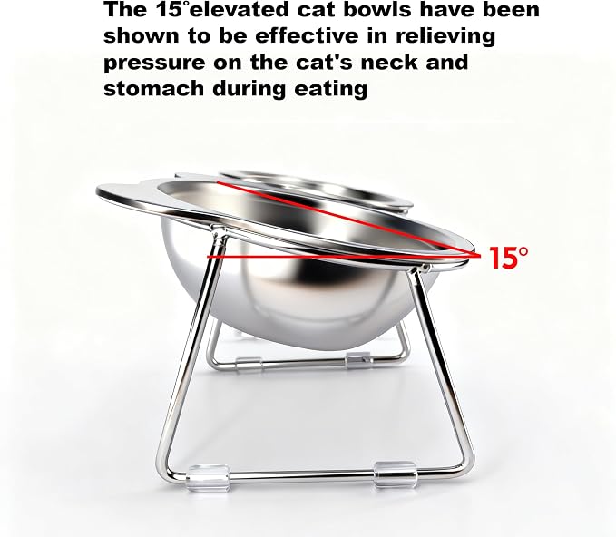 2 Pack Elevated Pet Bowls for Small Cats and Dogs: 15° Tilted Anti-Vomiting Stainless Steel Raised Dishes, 5.9” Whisker & Spine Friendly Indoor Food & Water Bowls