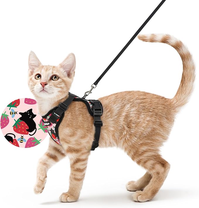 rabbitgoo Cat Harness and Leash Set, Escape Proof Vest, Berry Pounce | Soft Breathable Mesh, Easy Adjustable Fit, Snap Buckles, Sturdy Clip, Reflective Strips, for Small & Average Cats Walks, Xs