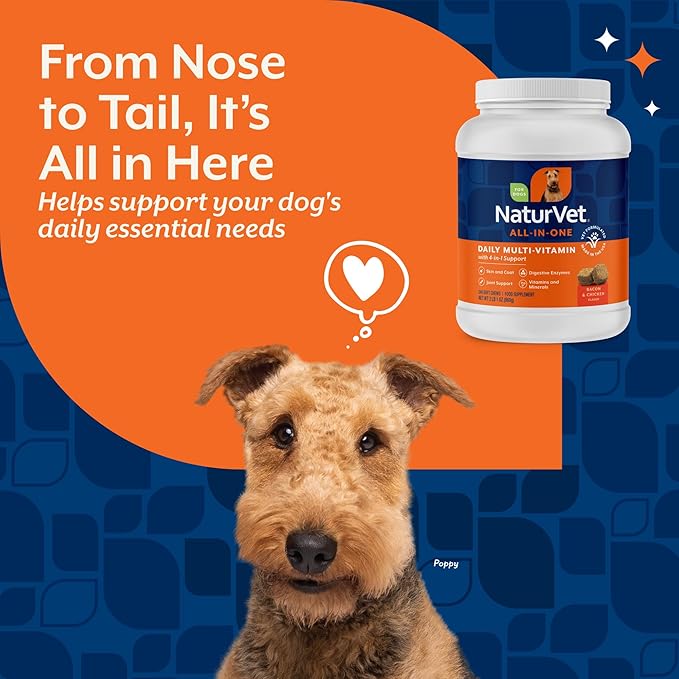 NaturVet All-in-One Dog Supplement - for Joint Support, Digestion, Skin, Coat Care – Dog Multivitamins with Minerals, Omega-3, 6, 9 – Wheat-Free Vitamins for Dogs – 240 Soft Chews (Pack of 2)