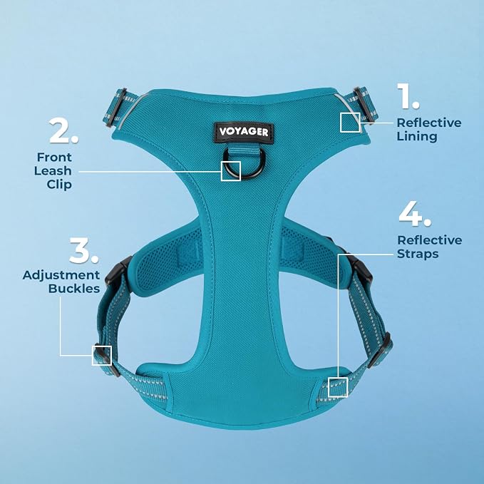 Voyager Dual Attachment No Pull Harness - Turquoise, Medium | 20 - 25" in Chest, No Pull Dog Harness, Fully Adjustable, 3M Reflective Technology, Front & Back D-Rings, Walking & Training