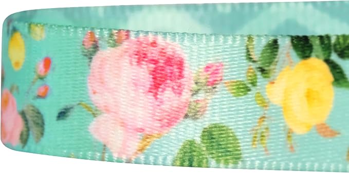Blueberry Pet Mint Floral Print Mesh Dog Harness Vest for Medium Dogs,Soft Breathable Adjustable Dog Harness