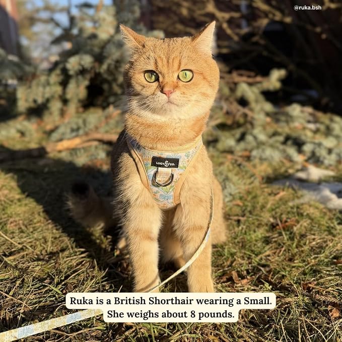Lucy & Co. Sunshine and Daffodils Step-in Cat Harness and Leash Set Bundle, Reflective, Breathable & Adjustable Harness for Cats, Kittens & Small Dogs, Lightweight & Secure, Small
