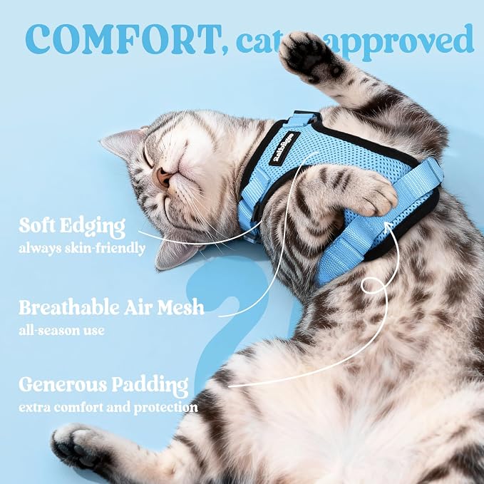 rabbitgoo Cat Harness and Leash Set, Escape Proof Vest, Light Blue | Soft Breathable Mesh, Easy Adjustable Fit, Snap Buckles, Sturdy Clip, Reflective Strips, for Average Cats Walks, S
