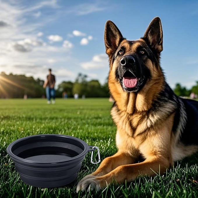 Extra Large Dog Bowl Collapsible, 2 Pack, with Carabiners, Jumbo, Black+Black