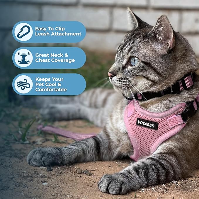 Voyager Escape-Proof Step-in Lock Cat Harness & 5ft Neoprene-Handle Leash Set All-Weather Mesh with Reflective Stitching for Small to Large Cats by Best Pet Supplies, Pink, XS
