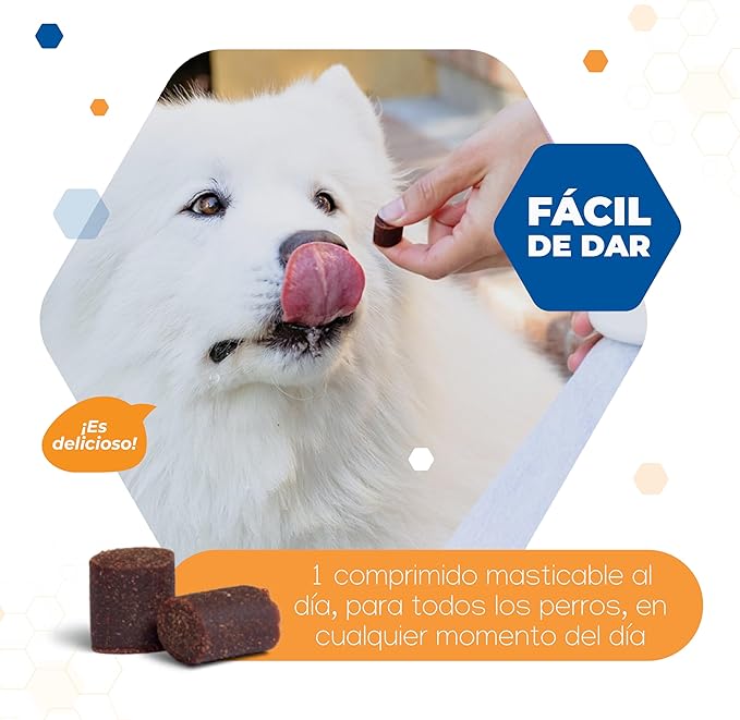 Virbac | Movoflex | New Supplement for Canine Joint Mobility | Ideal for Adult and Senior Dogs | Easy to Give for its Delicious Taste and Smooth Texture (Large Breed)