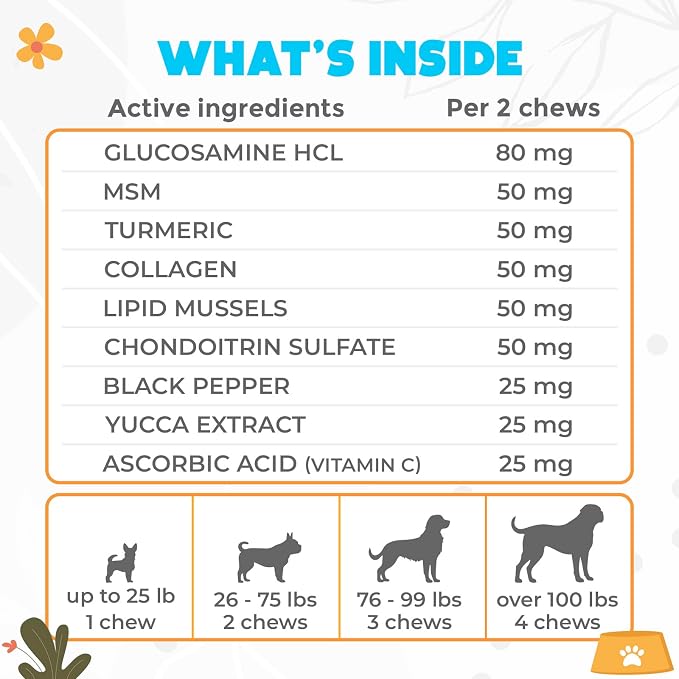 Glucosamine HCL & Hip and Joint Supplement for Dogs - 150 pcs - Hip and Joint Chews for Dogs - Vet Approved US Formula with MSM & Green Lipped Mussel - Beef