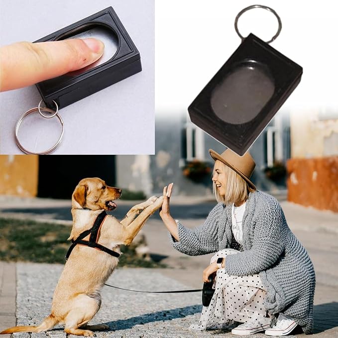 Portable Square Box Training Clicker, 2 Pcs, Black & Blue