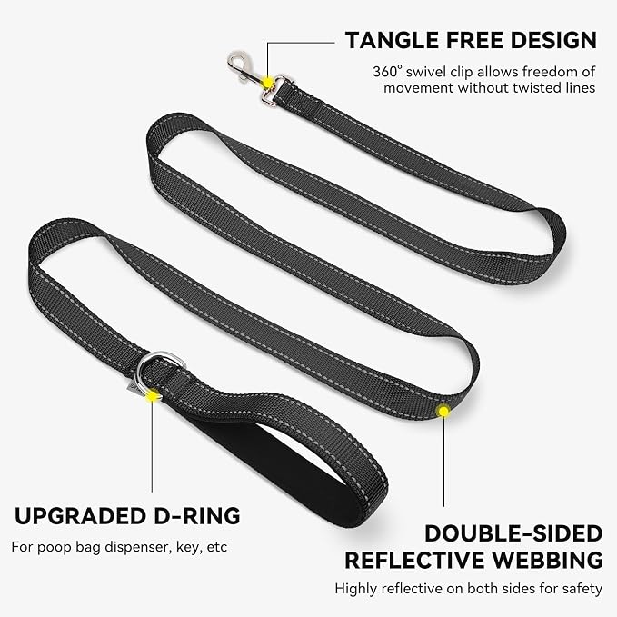 Joytale Reflective Dog Leash for Small Dogs, 4 FT x 3/4", Black | Heavy Duty Nylon Webbing, Padded Handle for Comfort, Visible at Night, for Walking & Training