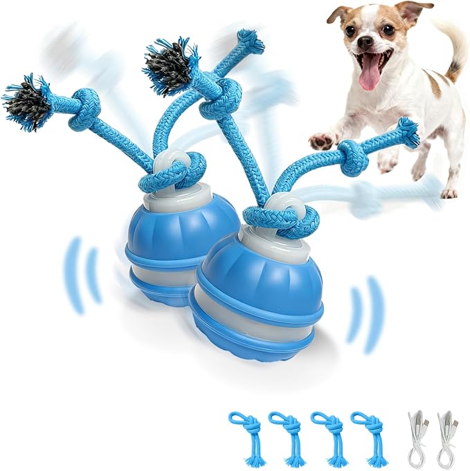 Interactive Dog Toys Dog Ball,Automatic Rolling and Bouncing Moving Dog Toy | 2PCS Squeaky Rolling Balls with Flashing Light,USB Rechargeable Chew Toys for Puppy Small Dogs, Pet Ball to Keep Them Busy