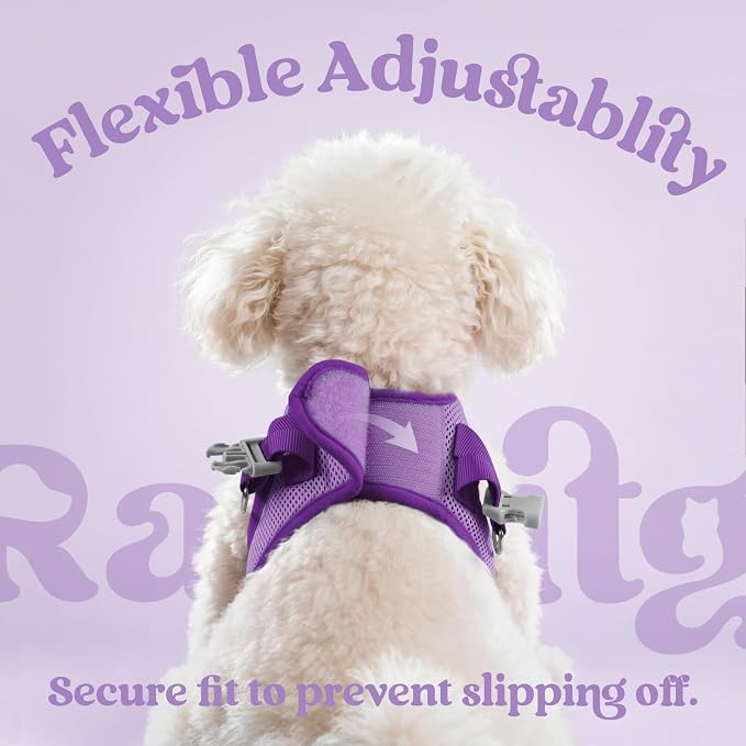 rabbitgoo Dog Harness Small Sized and Leash Set, Step in Soft Vest | Breathable Mesh, Easy Wear with Hook & Loop, Light and Reflective for Walking, Multi-colored, Light Purple & Purple, S