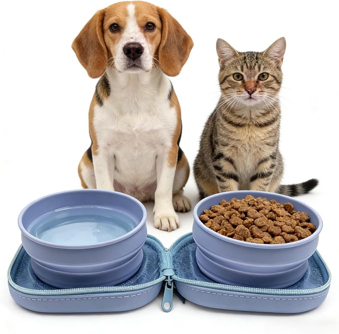 Portable Collapsible Dog Bowl, 2-in-1 with Carabiner Clip, Blue