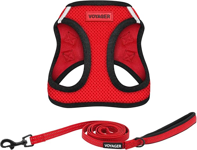 Voyager Step-in Air All Weather Mesh Harness and Reflective Dog 5 ft Leash Combo with Neoprene Handle, for Small, Medium and Large Breed Puppies by Best Pet Supplies - Red, X-Small
