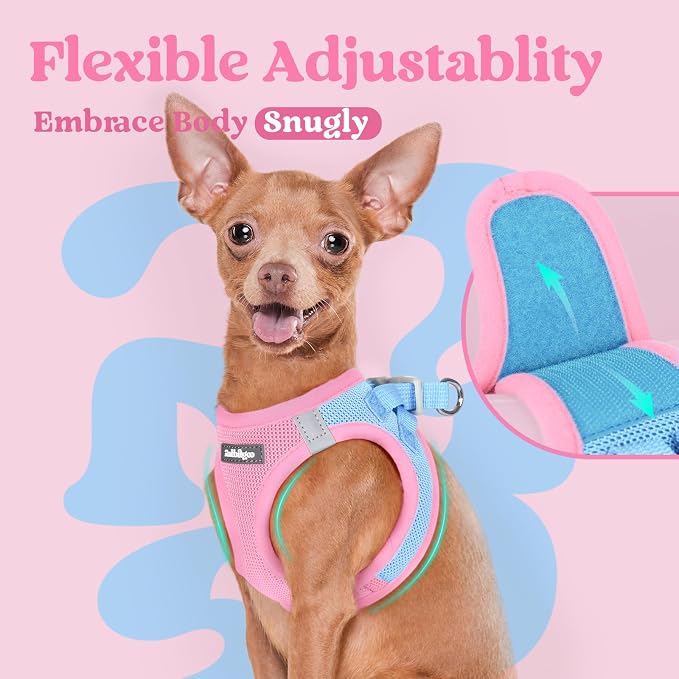 rabbitgoo Step-in Small Dog Harness, Puppy Vest for Small Sized Pet | Easy Put on and off, Lightweight, Soft, Breathable Quick-Dry Air Mesh for Comfortable Secure Walking, Blue & Light Pink XS
