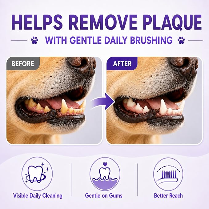 Dog Toothbrush, Dual-Head, for Medium-Large Dogs, Purple | Soft Bristles for Gentle Cleaning, 60° Curved Bristles for Better Coverage, Comfortable for Sensitive Gums