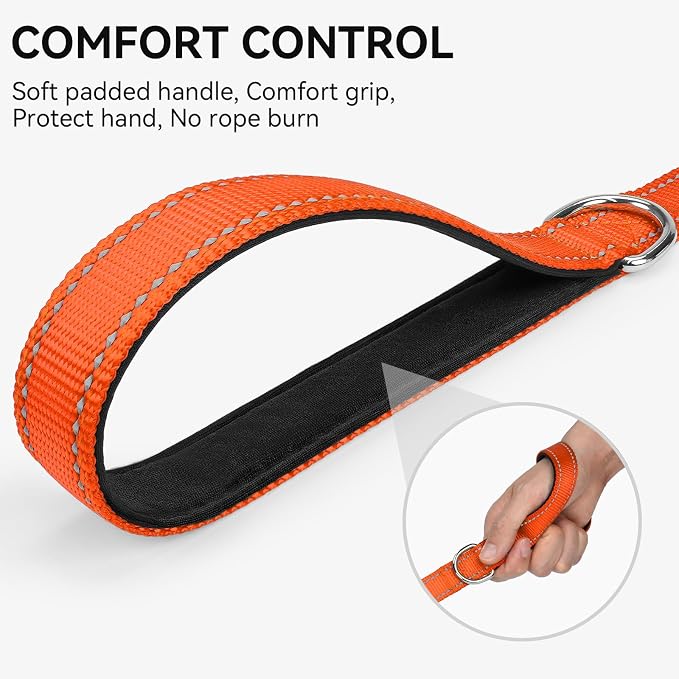 Joytale Reflective Dog Leash for Small Dogs, 4 FT x 3/4", Orange | Heavy Duty Nylon Webbing, Padded Handle for Comfort, Visible at Night, for Walking & Training