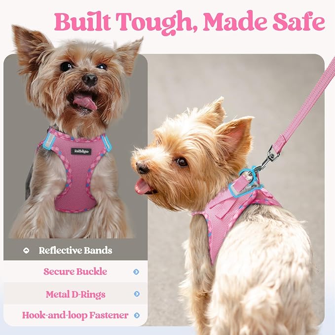 rabbitgoo Dog Harness Small Sized and Leash Set, Step-in Puppy Pet Vest | Light, Soft, Breathable Air Mesh, Easy on and Remove with Hook & Loop, Secure Reflective for Walking, Pink & Plaid Trim XXS