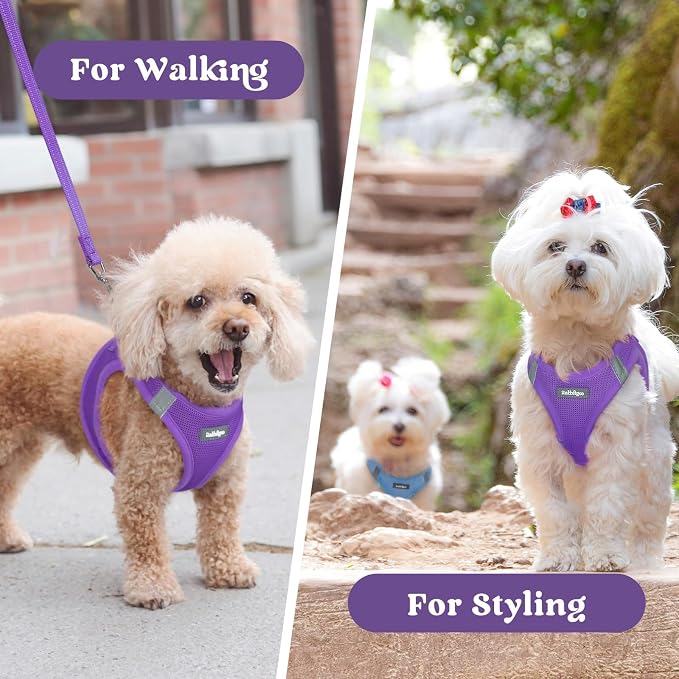 rabbitgoo Step-in Small Dog Harness, Puppy Vest for Small Sized Pet | Easy Put on and off, Lightweight, Soft, Breathable Quick-Dry Air Mesh for Comfortable Secure Walking, Purple M