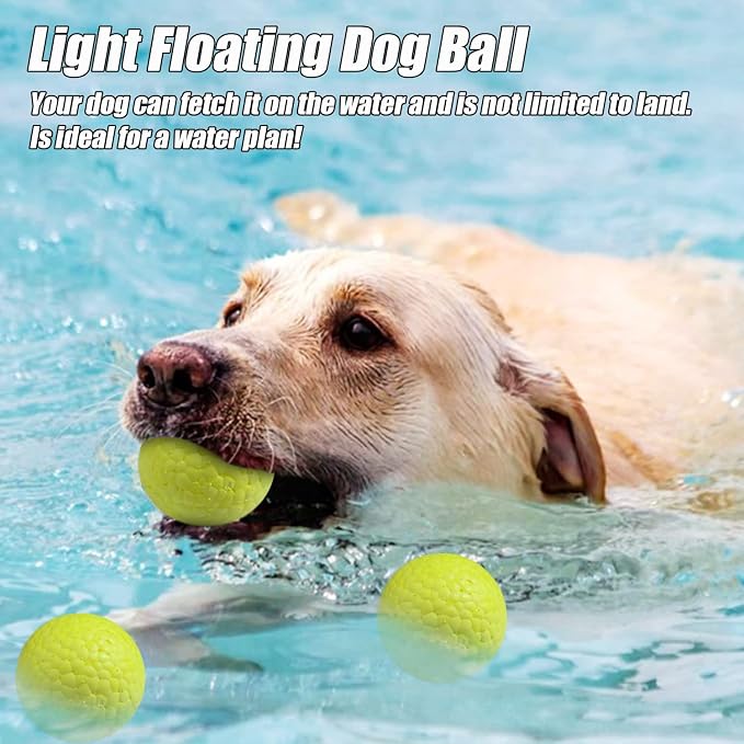 Dog Ball Toy for Aggressive Chewers, Indestructible Floating, Large Dogs