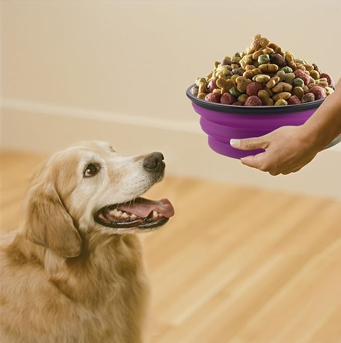 Large Collapsible Dog Bowls, 2 Pack, 34oz, Purple+Green