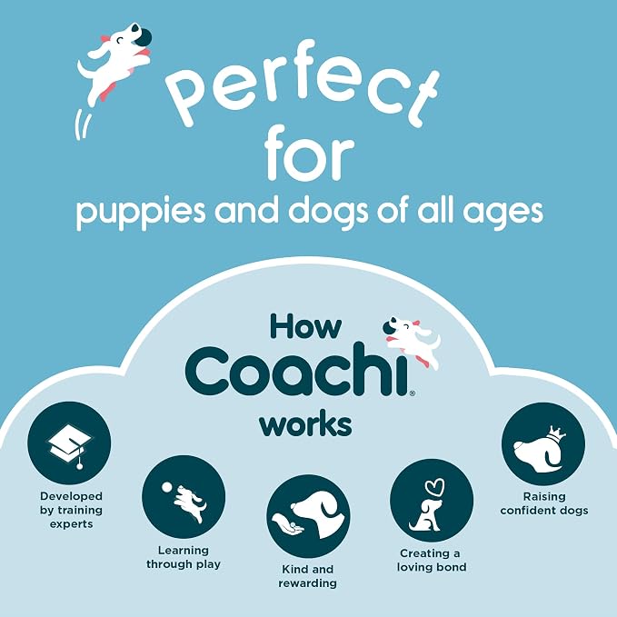 Company of Animals Coachi Training Dumbbell | Size Small | Floats, Long Distance Throwing, Classic Retrieval Toy, Gundog & Puppy Training. Super Tough & Strong, Suitable for Small Dogs