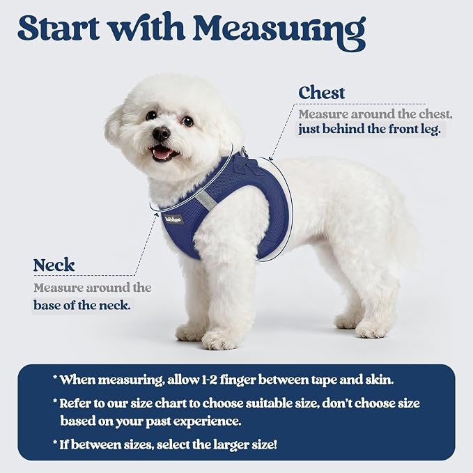 rabbitgoo Dog Harness Medium Sized and Leash Set, Step-in Puppy Pet Vest | Light, Soft, Breathable Air Mesh, Easy on and Remove with Hook & Loop, Secure Reflective for Walking, Navy Blue XL