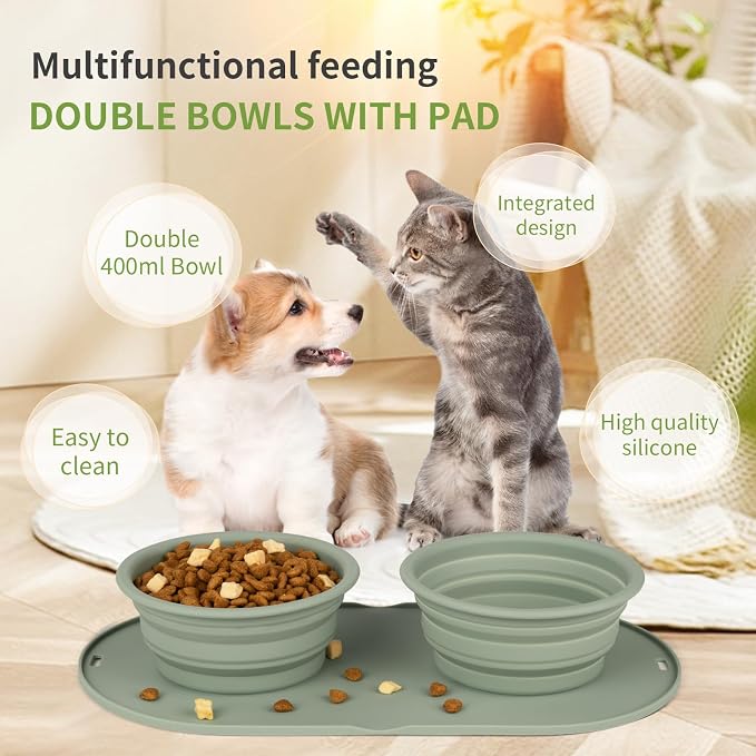 Puppy Dog Bowl, No-Spill Collapsible Double Bowl, Green