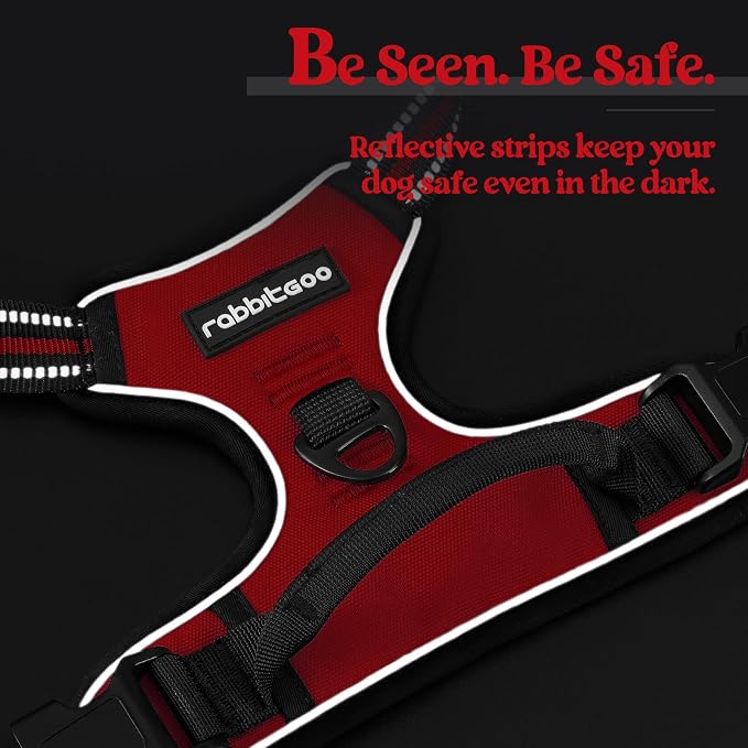 rabbitgoo Dog Harness, No Pull Medium Sized with 2 Leash Clips, Pet Vest | No Choke with Handle, Adjustable Soft Padded, Reflective, Easy Control for Walking, Red, Medium