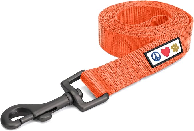 Pawtitas Solid 6 ft Orange Dog Leash XXS/Cat Custom Name and Phone Embroidery Strong Nylon Leash for Small Breeds
