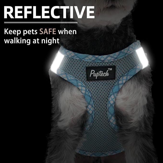 PUPTECK Dog Harness and Leash Set for Small Medium Dogs No Pull Step-in Soft Mesh Puppy Cat Vest Harnesses Reflective at Night, Sky Blue, M
