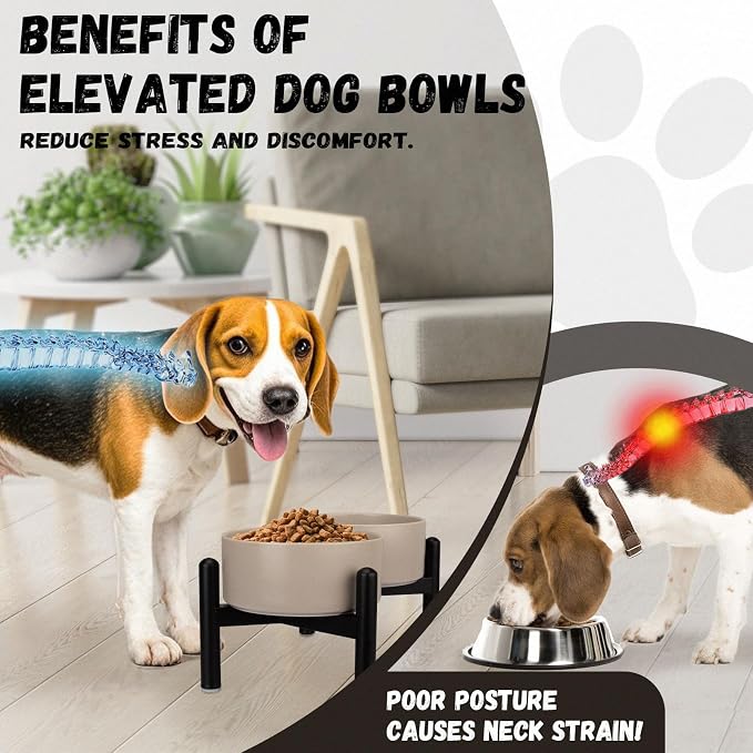 Raised Ceramic Dog Bowl Set - Elevated Double Dishes with Stainless Steel Stand - Food and Water Bowls for Small to Medium Dogs - Each Holds 3.5 Cups (29.57 fl oz) - Green
