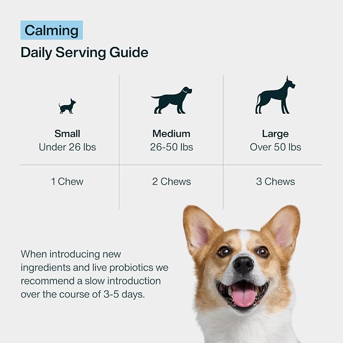 JustFoodForDogs Calming Supplement for Dogs, Melatonin, 45-Pack, 45ct