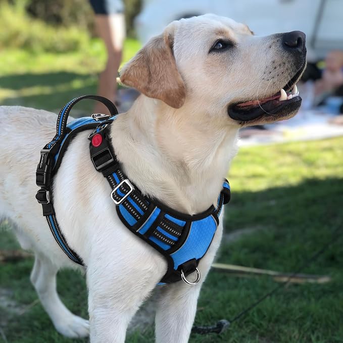 rabbitgoo Dog Harness for Large, No Pull 3 Buckles Easy On & Off | Soft Padded, Walking with Control Handle, Adjustable and Reflective, Blue, Large