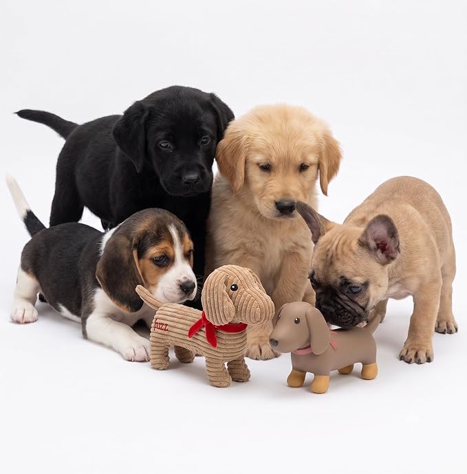 Fuzzl Sizzles the Dachshund Puppy Pack Dog Toys, Small, Pack of 2 | Plush Cord, Plush Latex Sausage Dogs, Soft Chew and Squeaky, For Puppies and Small Dogs