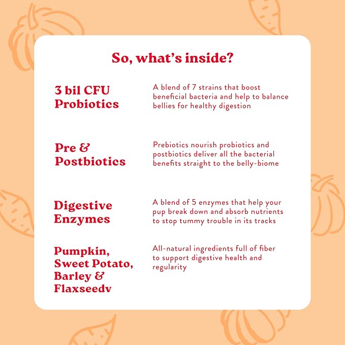 Bocce's Bakery Probiotic Supplement Chews, Pumpkin & Sweet Potato (60 ct) | Supports Digestion for Dogs - Made in The USA with 7 Strains of Probiotics