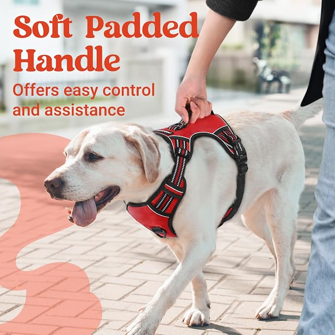 rabbitgoo Large Dog Harness, Easy Wear with 3 Buckles and Lift Handle | No Pull with Front Clip for Walking, Adjustable Soft Padded, Reflective, Easy Control, Red, X-Large