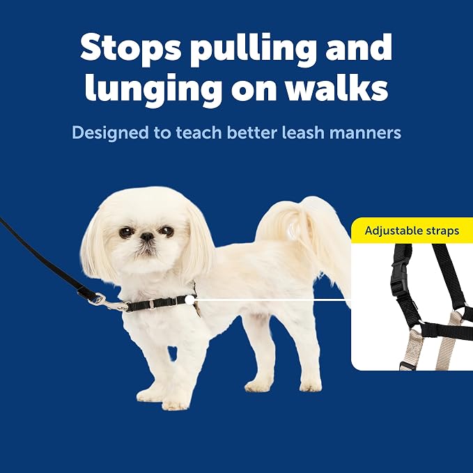 PetSafe Easy Walk No-Pull Dog Harness - Ultimate Harness to Help Stop Pulling - Pull-Free Walks - Take Control & Teach Better Leash Manners - Patented Martingale Loop Design - Black, Petite