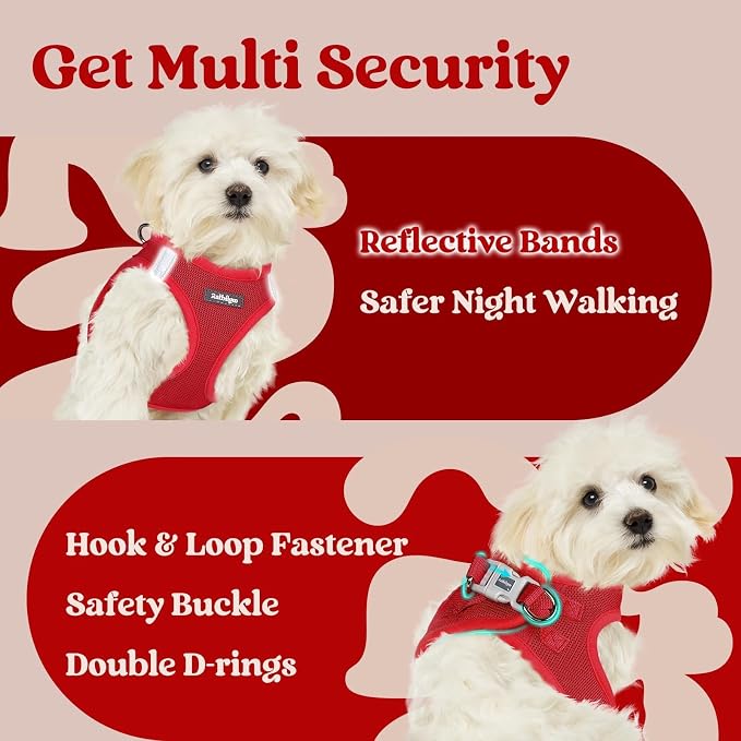 rabbitgoo Step-in Small Dog Harness, Puppy Vest for Small Medium Sized Pet | Easy Put on and off, Lightweight, Soft, Breathable Quick-Dry Air Mesh for Comfortable Secure Walking, Red XL