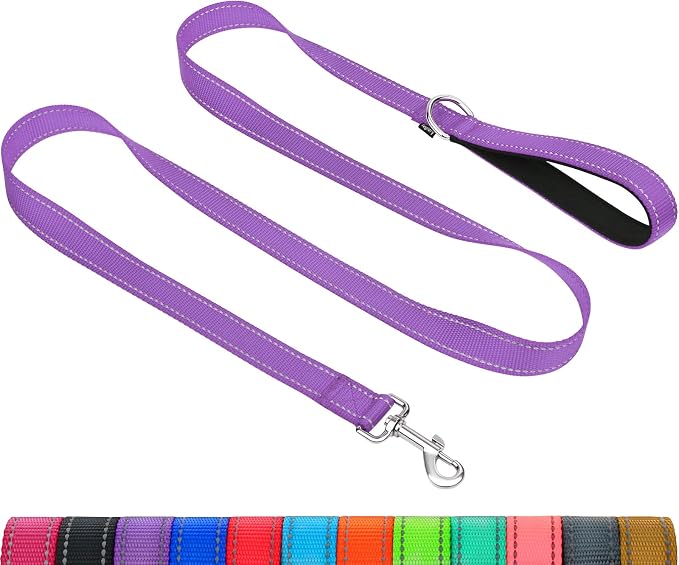 Taglory Reflective Dog Leash for Medium Large Dogs, 1in x 5ft, Purple | Ideal for Night Walking, Strong for Sudden Pulls, Lightweight & Gentle on the Neck, Soft Padded Handle