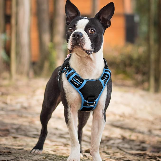 rabbitgoo Dog Harness Small Sized, No Pull 3 Buckles Easy On & Off | Soft Padded, Walking with Control Handle, Adjustable and Reflective, Black & Blue, Small