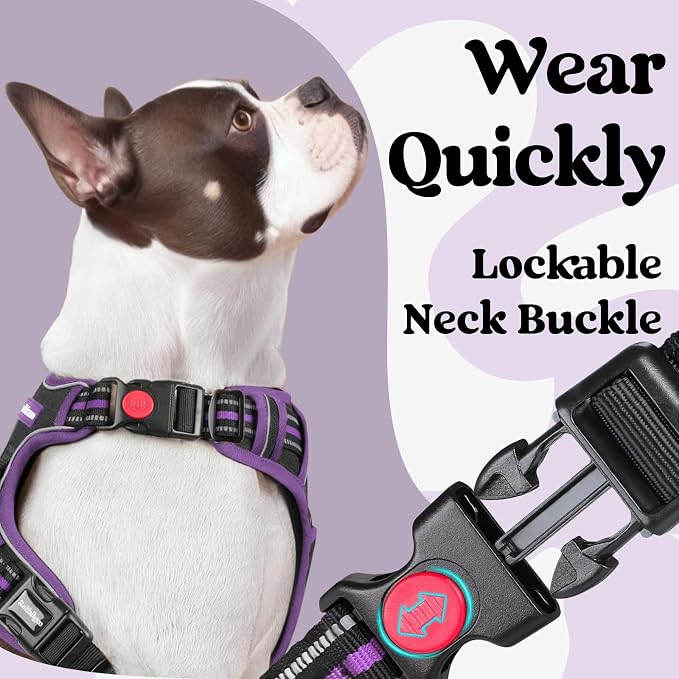 rabbitgoo Dog Harness Small Sized, Updated Easy On & Off with 3 Buckles | No Pull No Choke, Walking with 2 Clips and Handle, Adjustable Soft Reflective, Black & Purple, Small