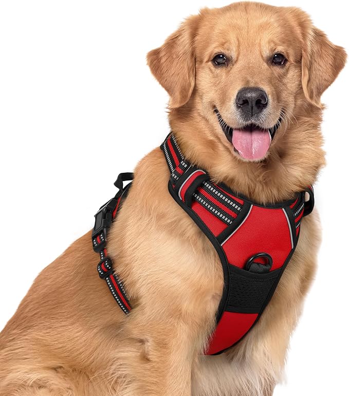 rabbitgoo Dog Harness, No Pull for Large Dogs with 2 Leash Clips, Pet Vest | No Choke with Handle, Adjustable Soft Padded, Reflective, Easy Control for Walking, Red, X-Large