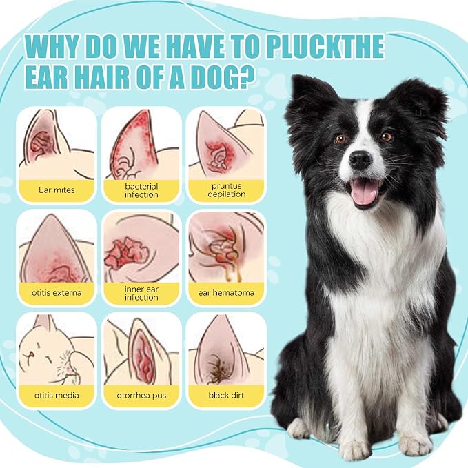 Advanced Pet Ear Powder with Professional 5" Hair Puller