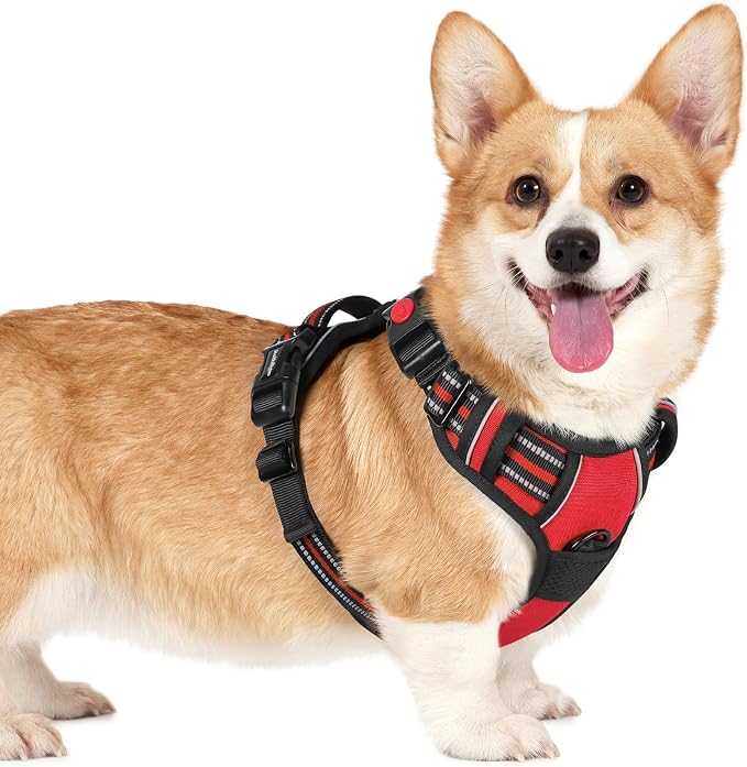 rabbitgoo Dog Harness Small Sized, Updated Easy On & Off with 3 Buckles | No Pull No Choke, Walking with 2 Clips and Handle, Adjustable Soft Reflective, Red, Small