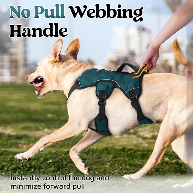 rabbitgoo Escape Proof Dog Harness for Medium, No Pull with Lift Handle | No Escape, Full Soft Padded, Reflective Adjustable Vest, Leash Clip for Walking Hiking Training, Dark Green, Medium
