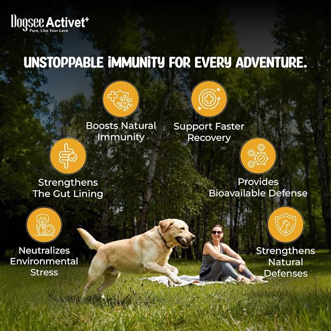 Dogsee Activet+ Freeze Dried Dog Food Topper with Yak Cheese Powder, Dog Supplement for Multi Vitamin, Boosting Immunity, Supports Growth, Improve Overall Health & Digestion (30 Sachets)